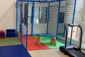 Spider Cage Therapy Dubai